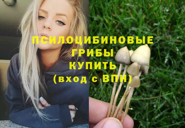 соль курить ск Белокуриха