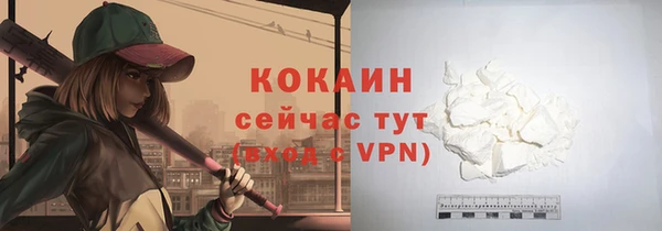соль курить ск Белокуриха