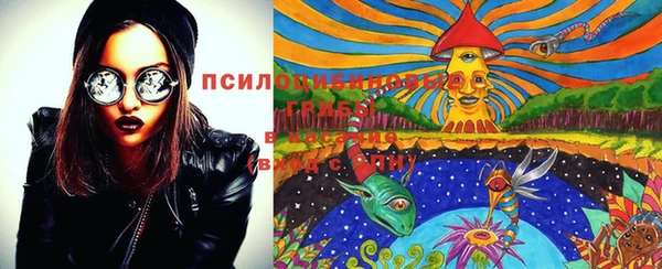 MDMA Беломорск