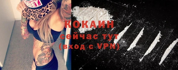 соль курить ск Белокуриха