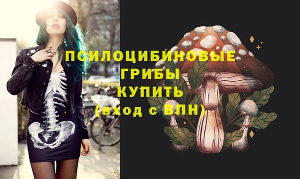 MDMA Беломорск